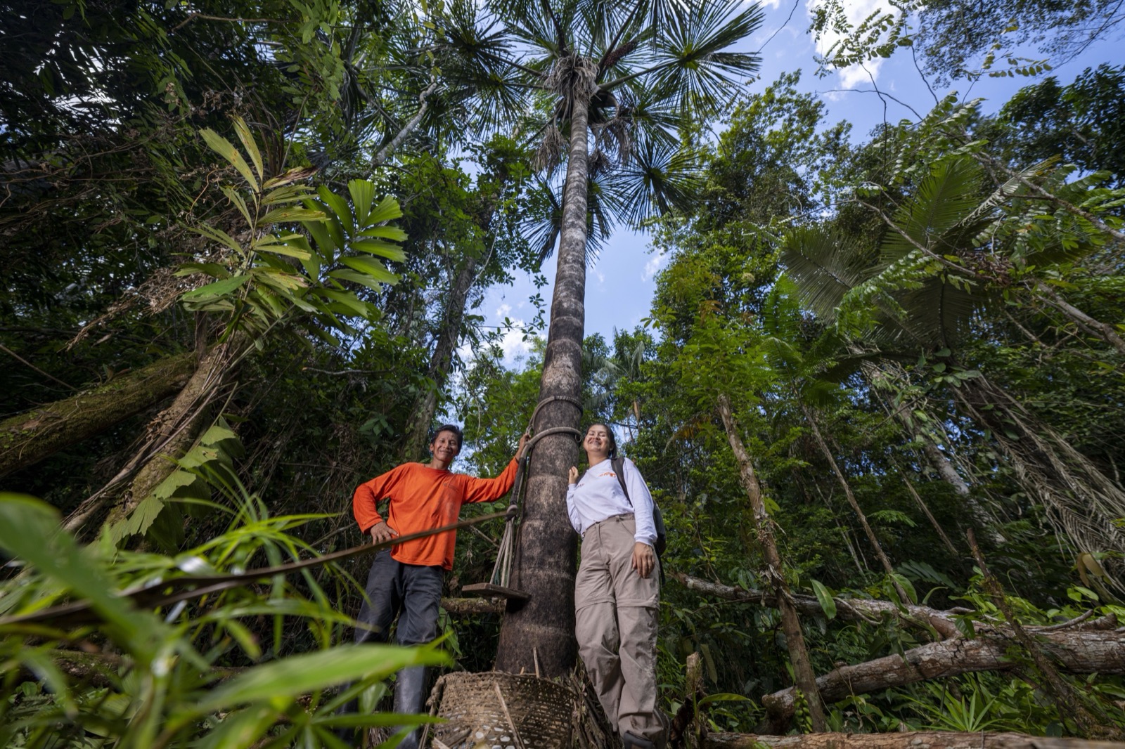 Personas junto a árbol en bosque