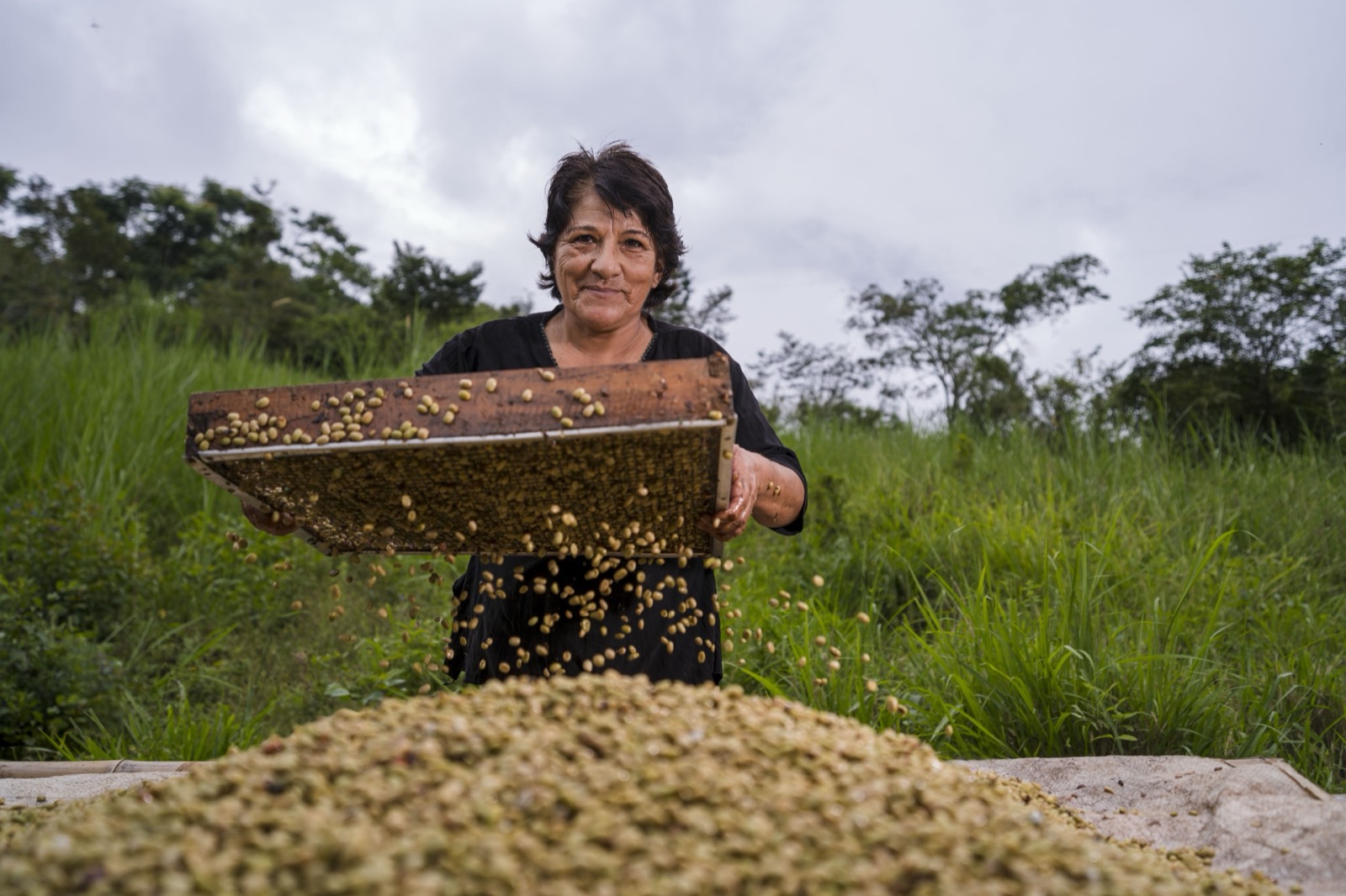Mujer procesando granos de café