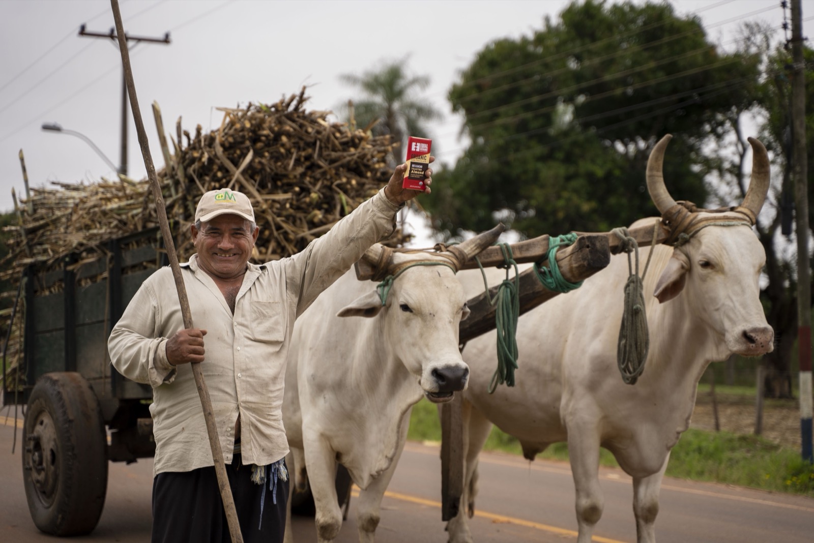 Campesino con bueyes y chocolate