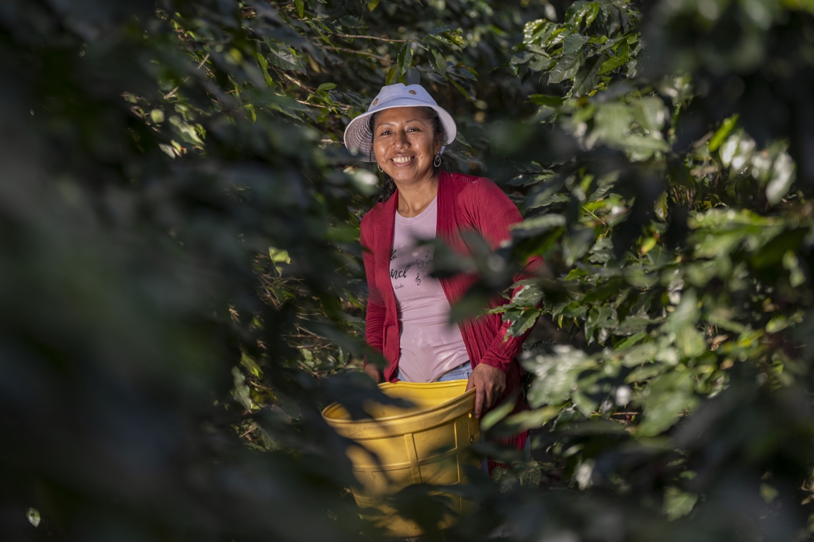 Mujer sonriendo en cafetal