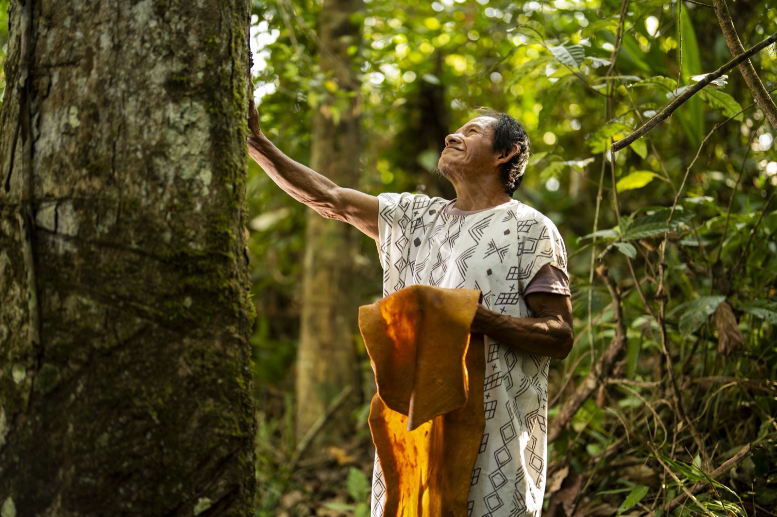 Hombre indígena tocando árbol en bosque